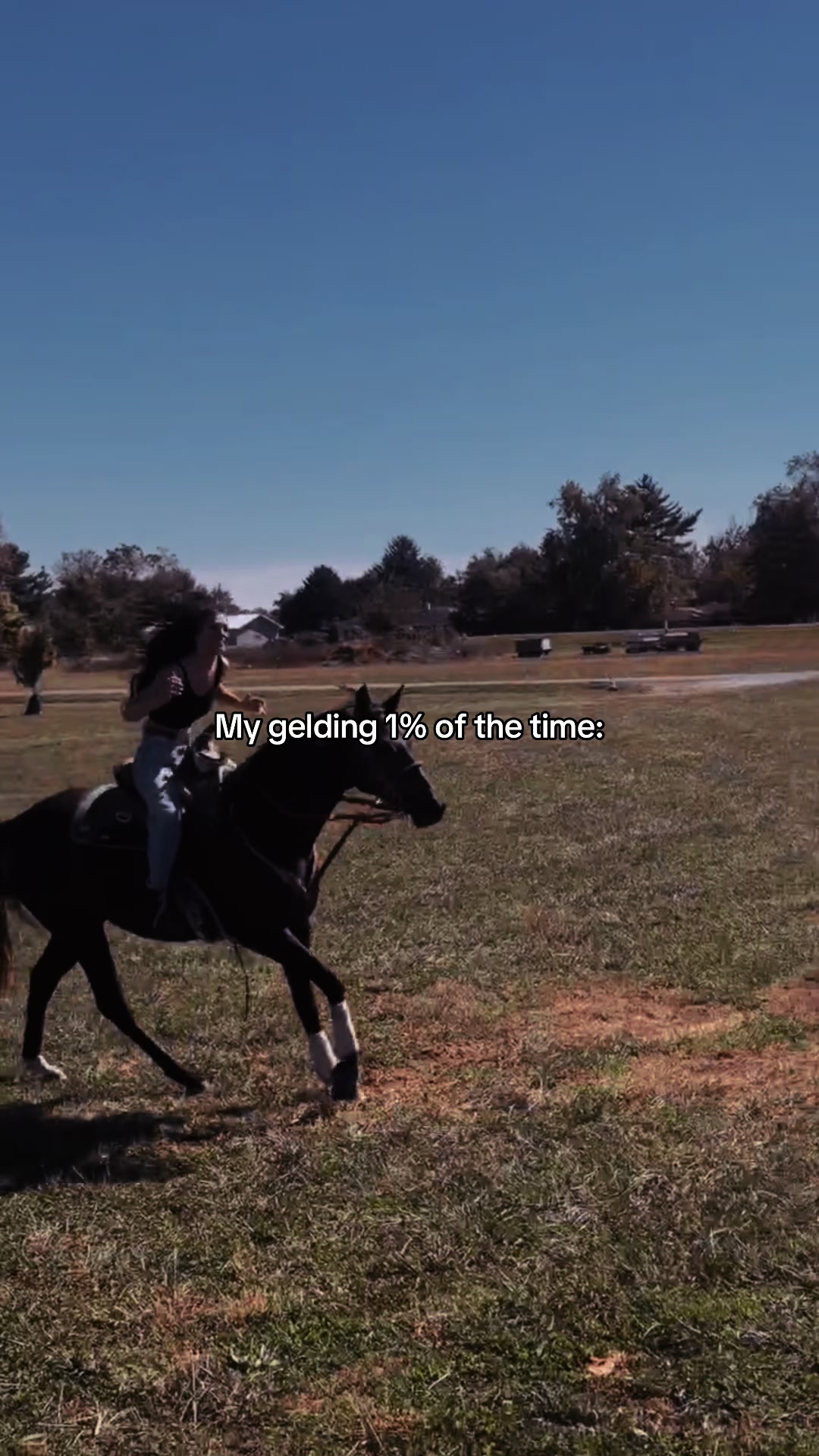 @⚜️🪶𝔄𝔩𝔶𝔰𝔰𝔞 🪶⚜️