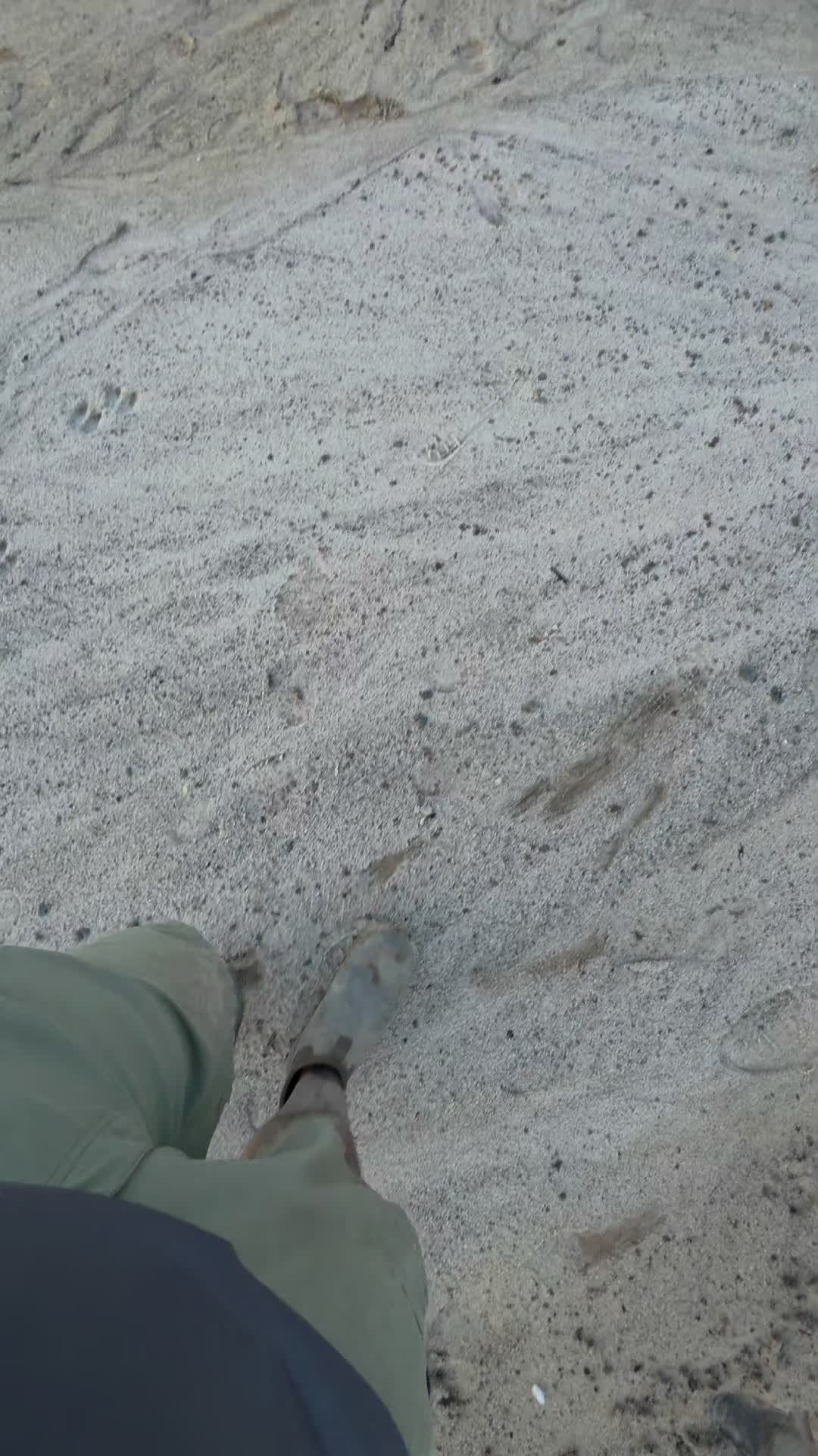 @RelicReef