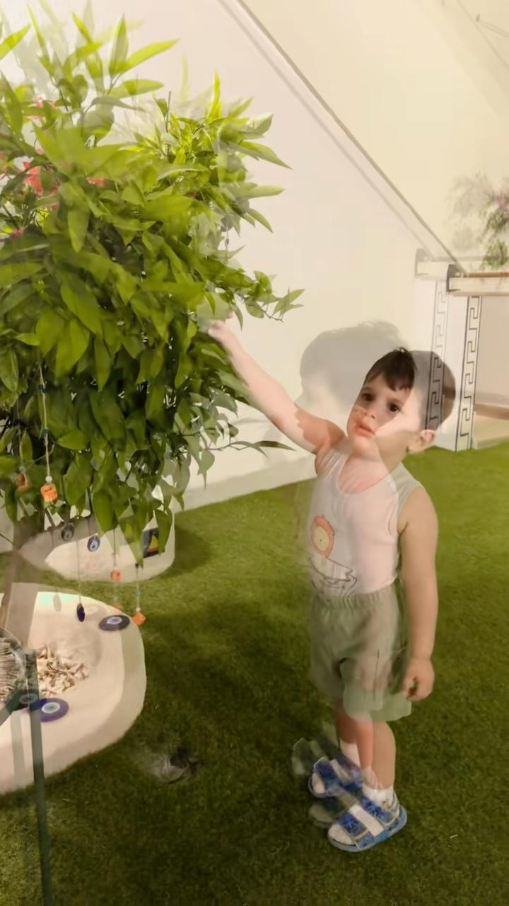 @• 🕊️ •