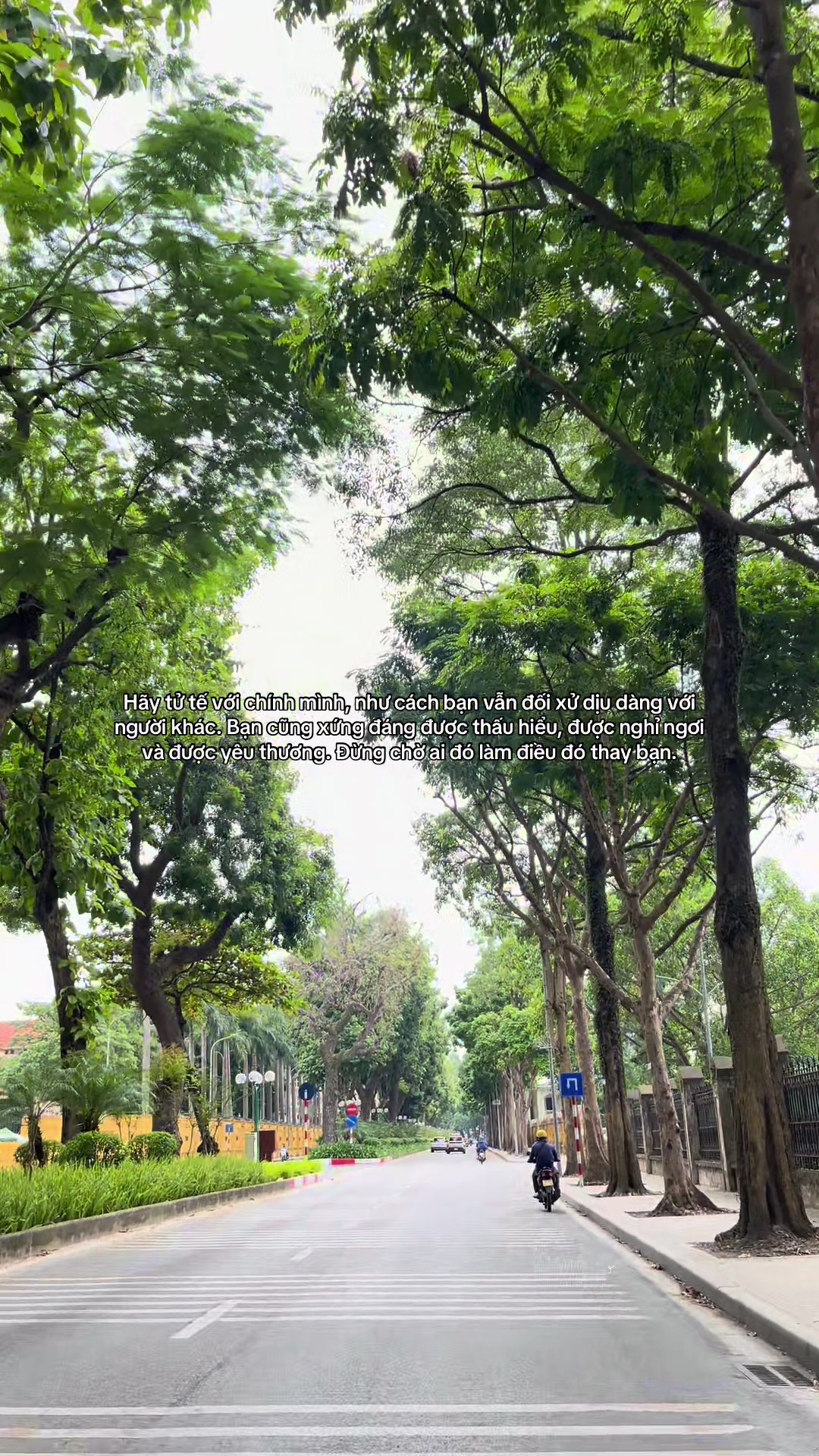 @Reels của Tình 🫧
