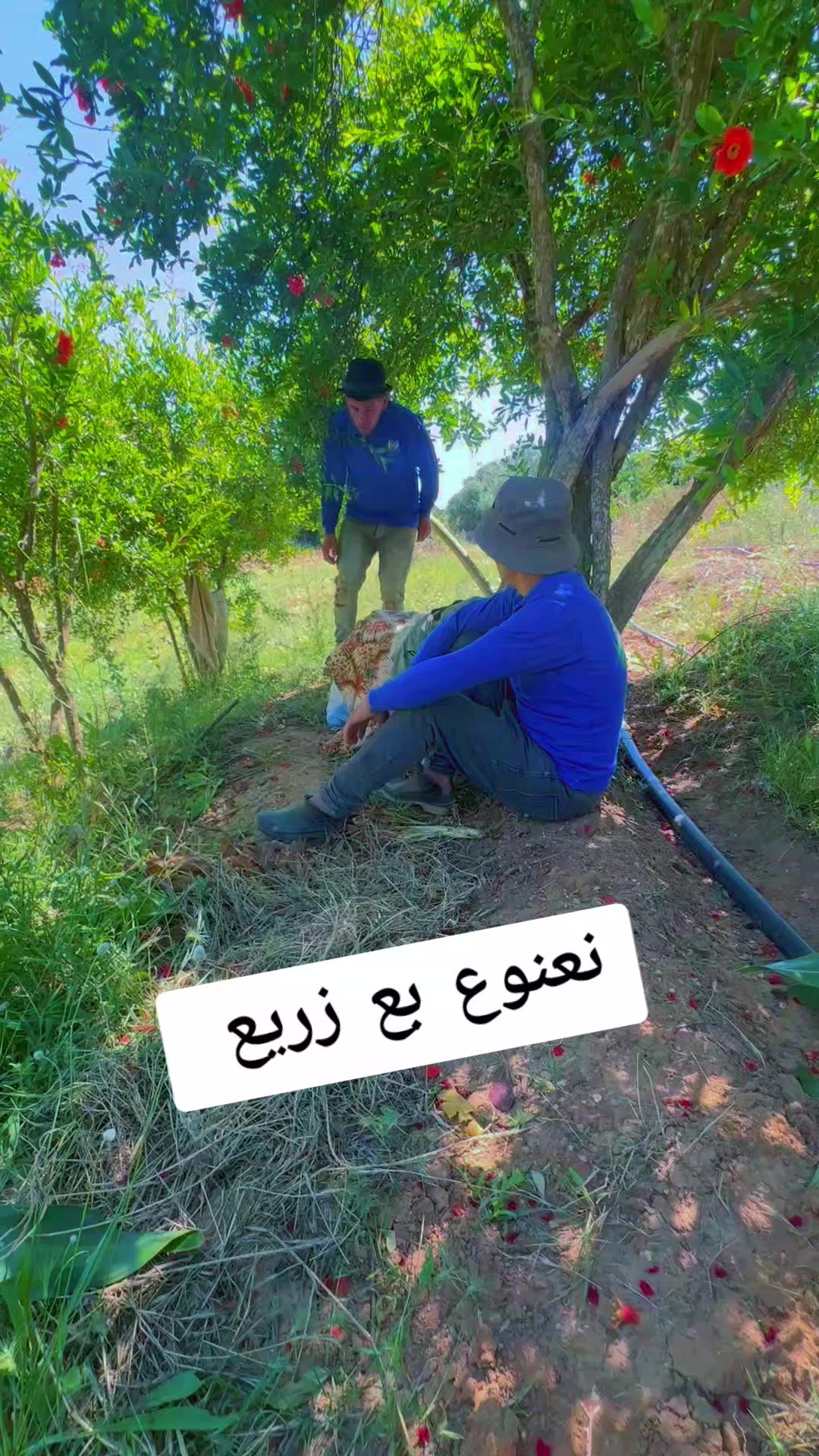 @الحاج نعنوع