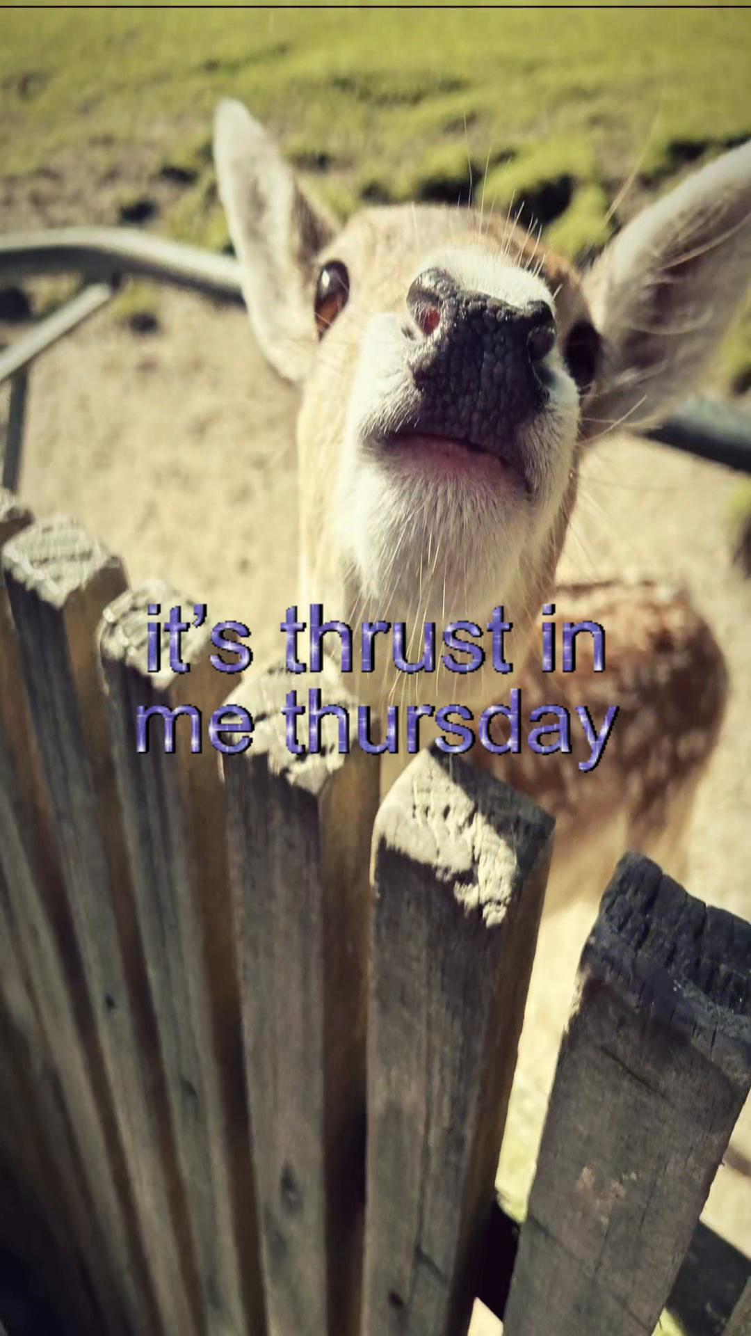 @livinlikedis