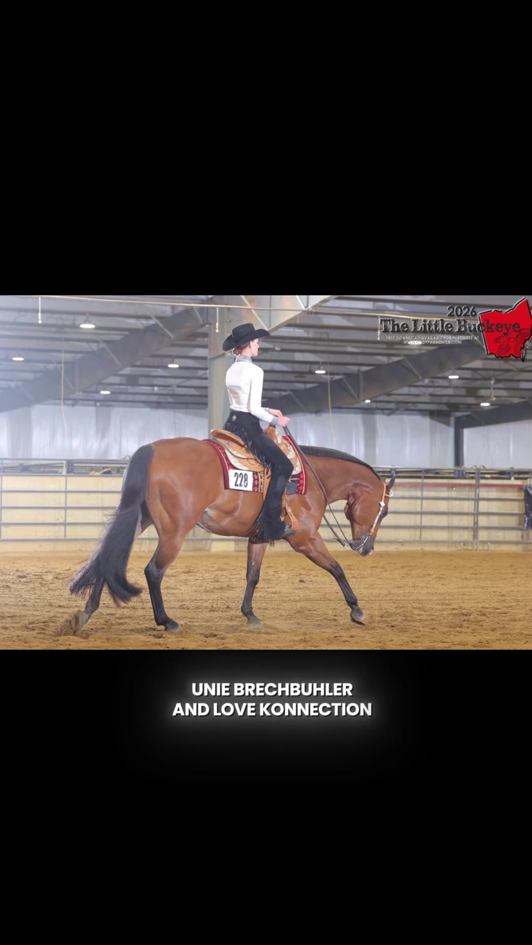 @JD Show Horses
