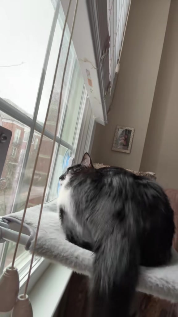 @Kat