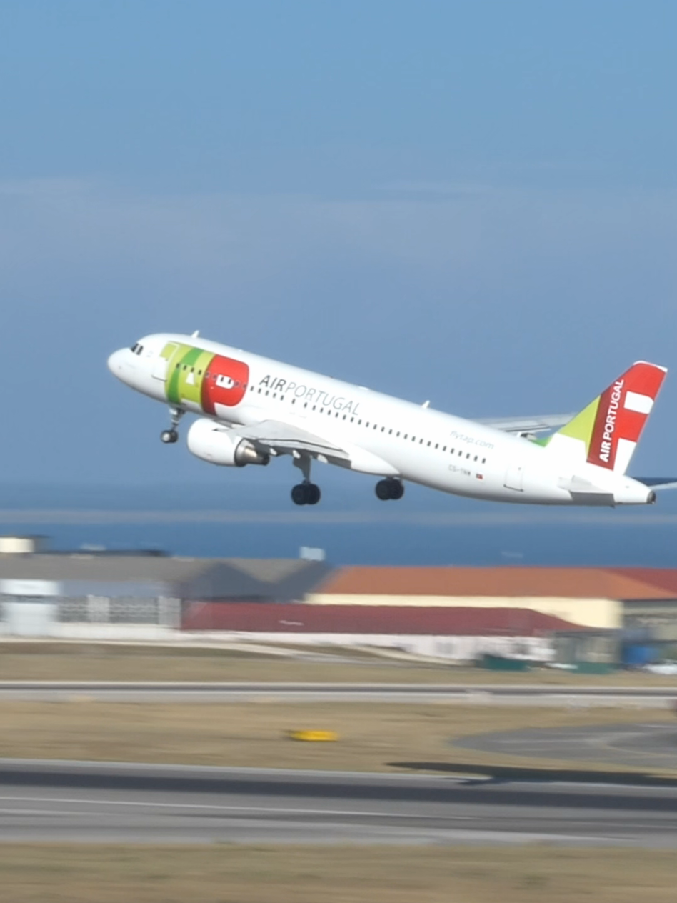 @Lisbon Spotting