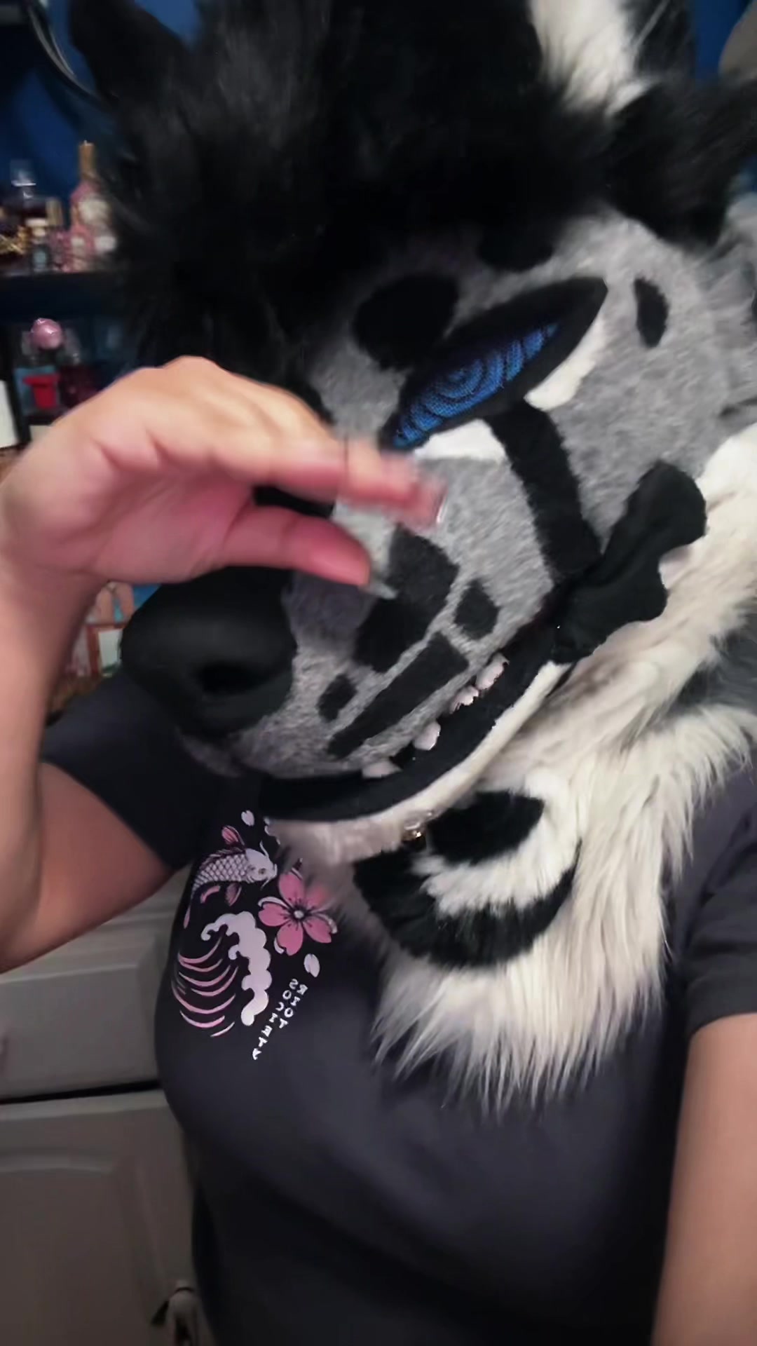 @sonar_hyena_shark