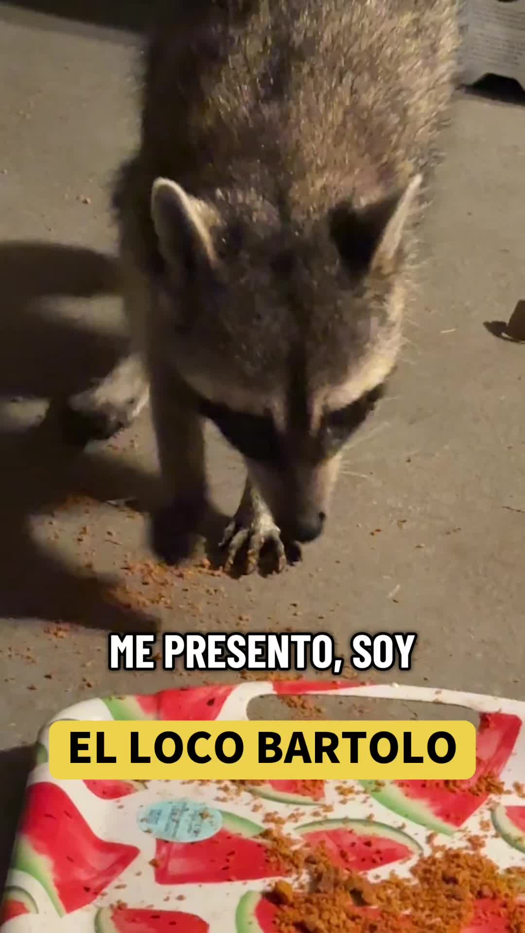 @mili_la_yorki