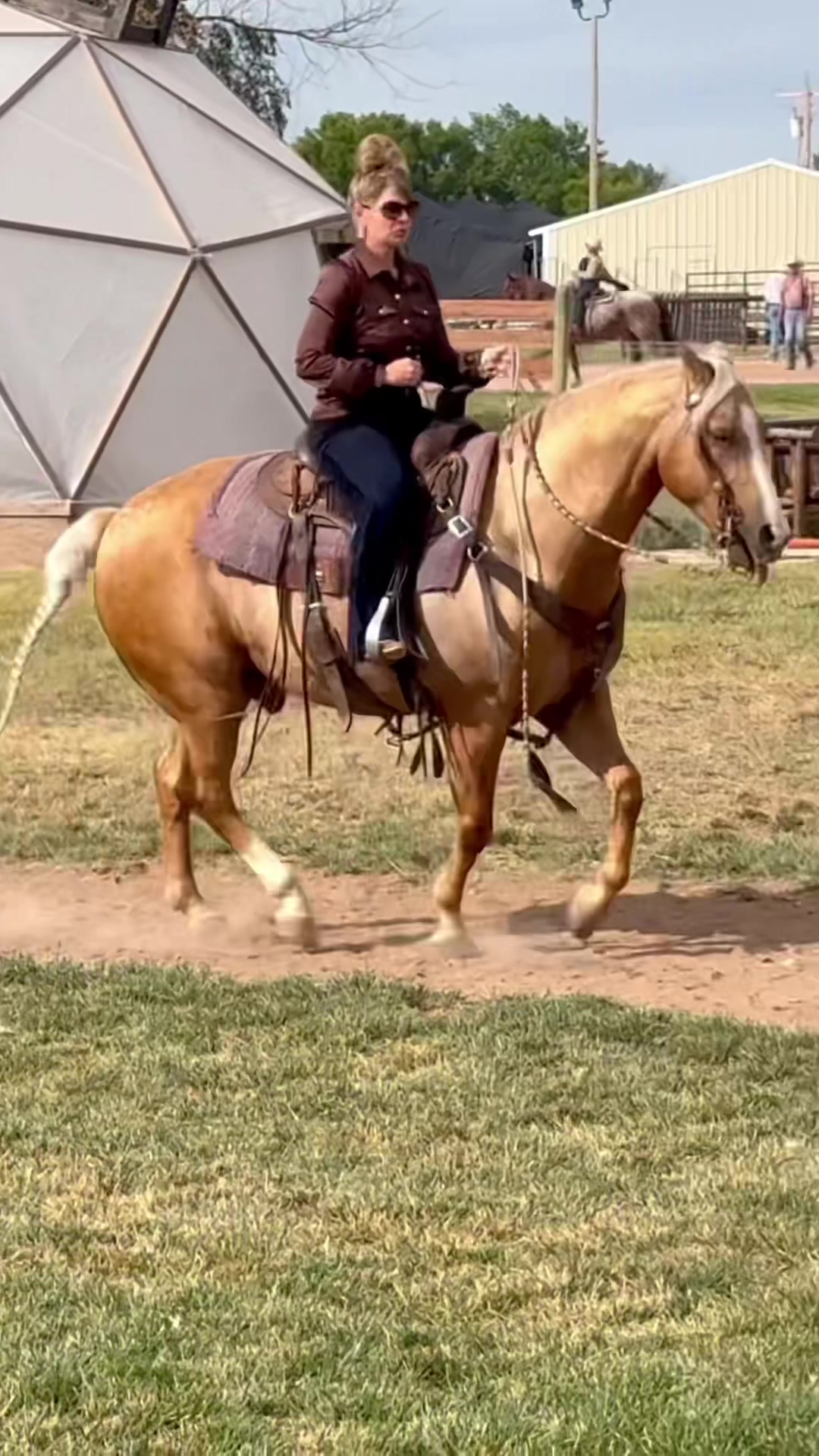 @Free Spirit Equestrian