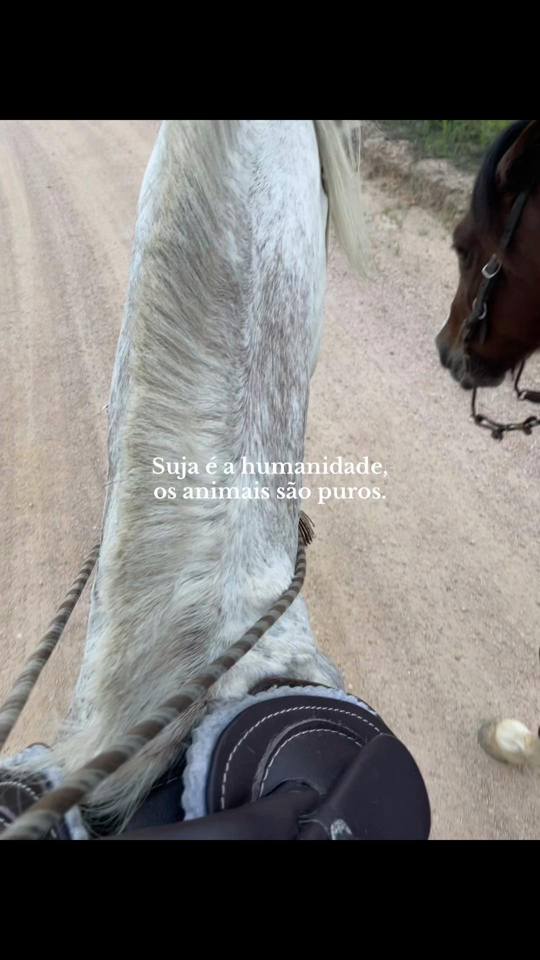 @Dona do Colorado🤎🐴