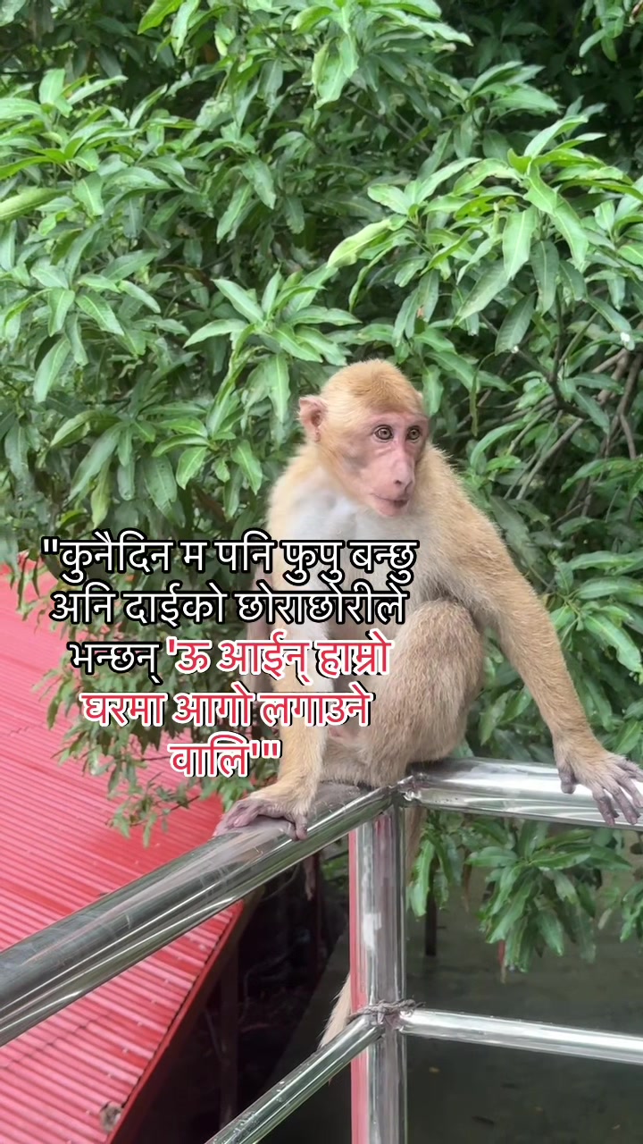 @रन्जना🍒