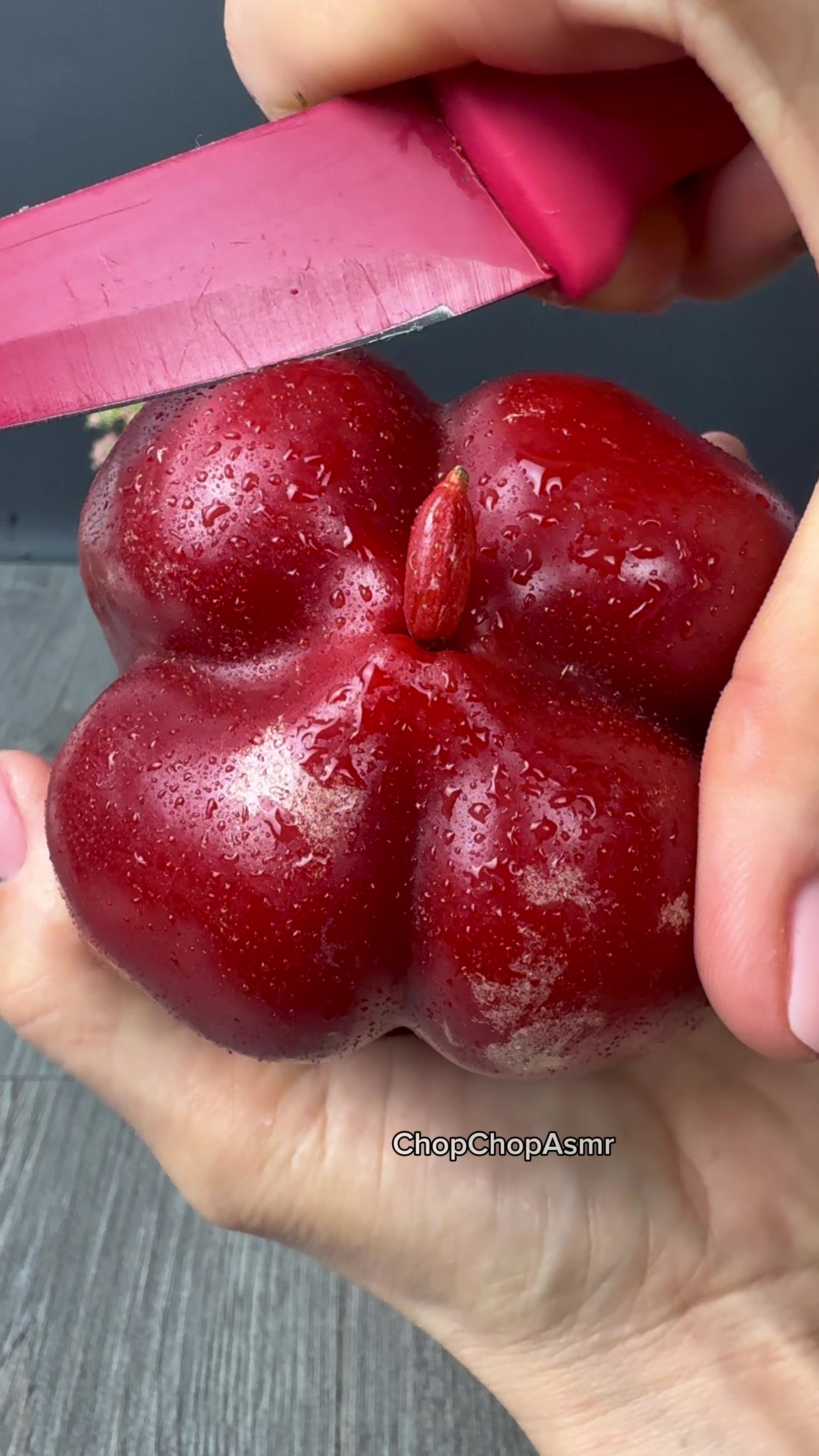 @ChopChopAsmr