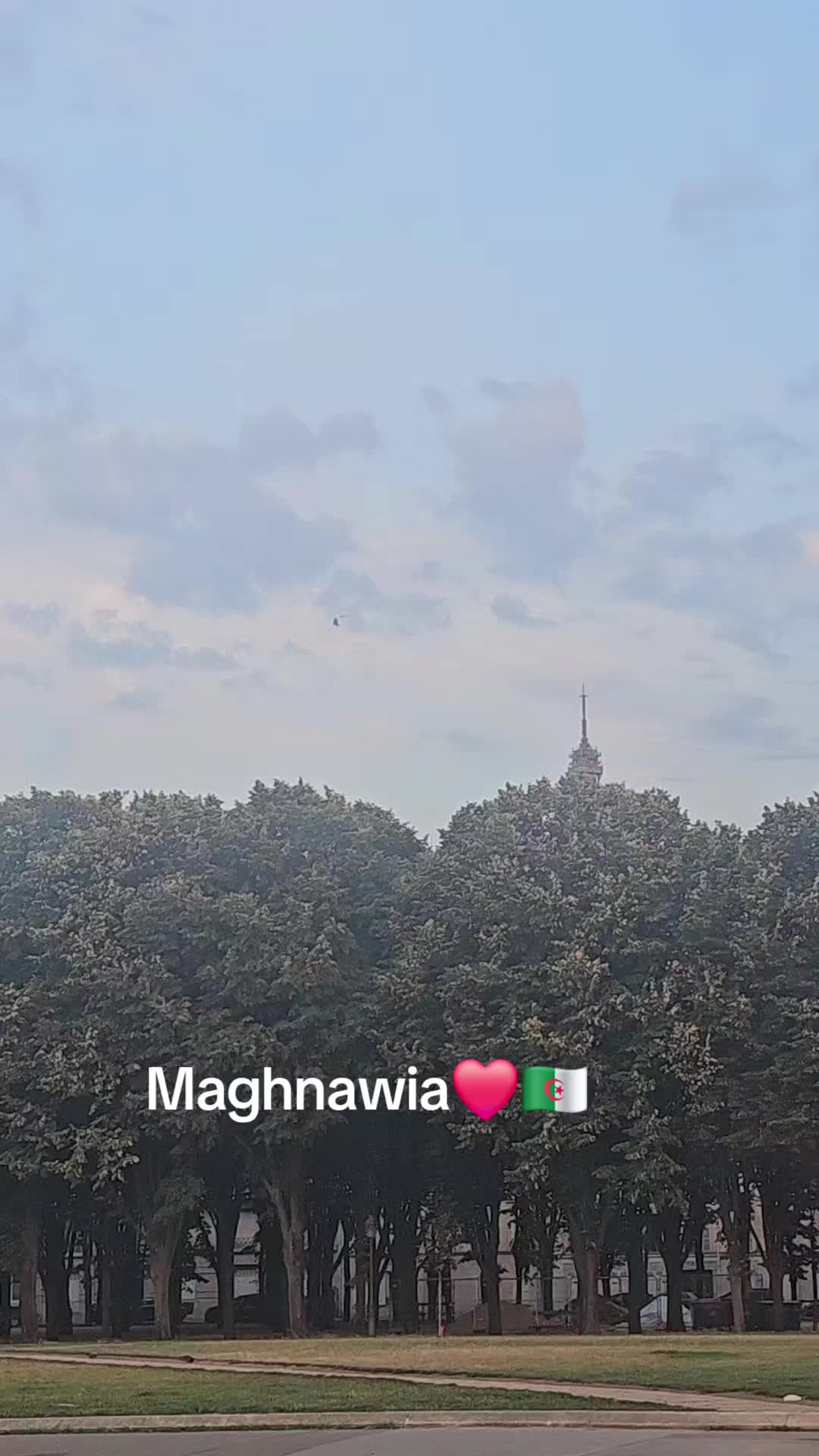 @Maghnaouia 13🇩🇿❤️
