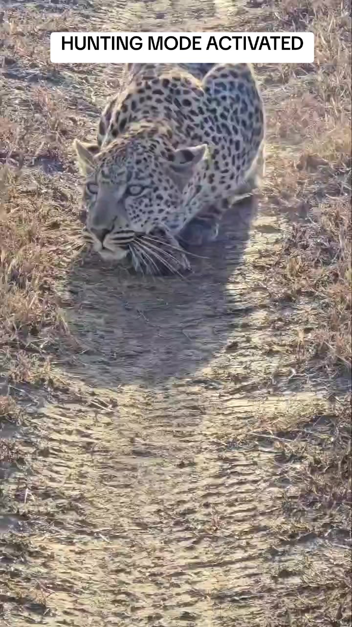 @Nesh Tours and Safaris