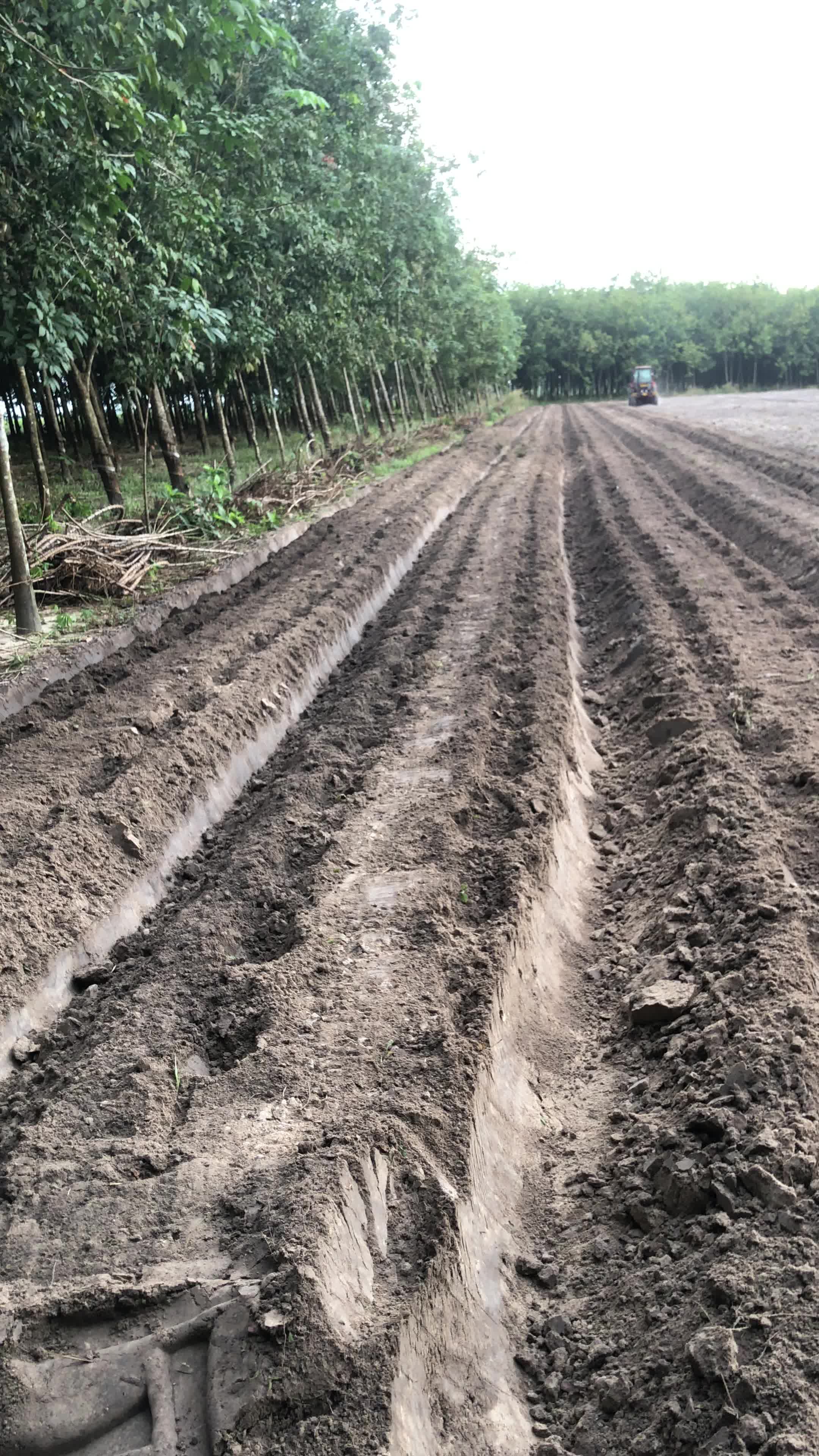 @🚜Ho&agrave;ng Kh&aacute;nh 🚜