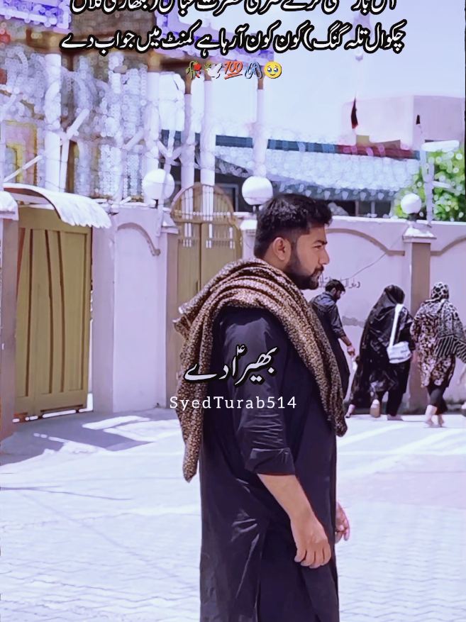 @سید علی ابوتراب ہمدانی