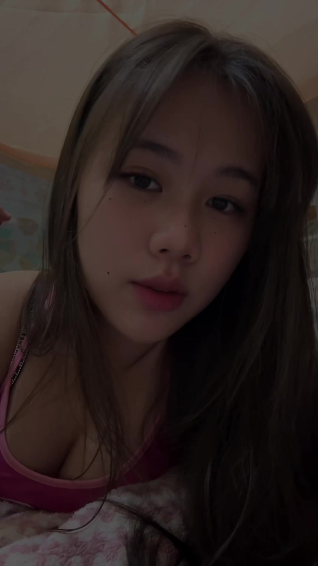 @bib2617