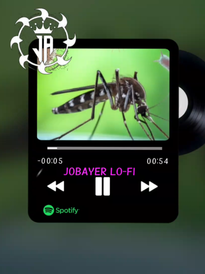 @_- JOBAYER LO-FI -_