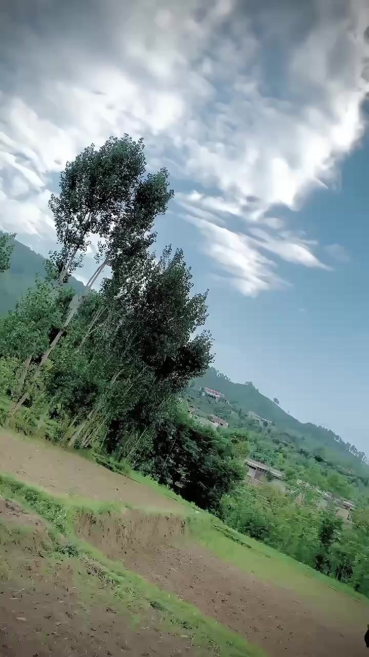 @Sayyed باسیم 🚩