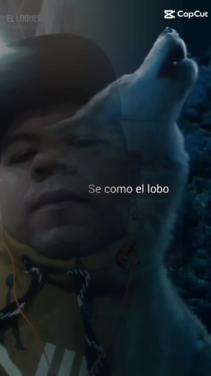 @cachorro 444