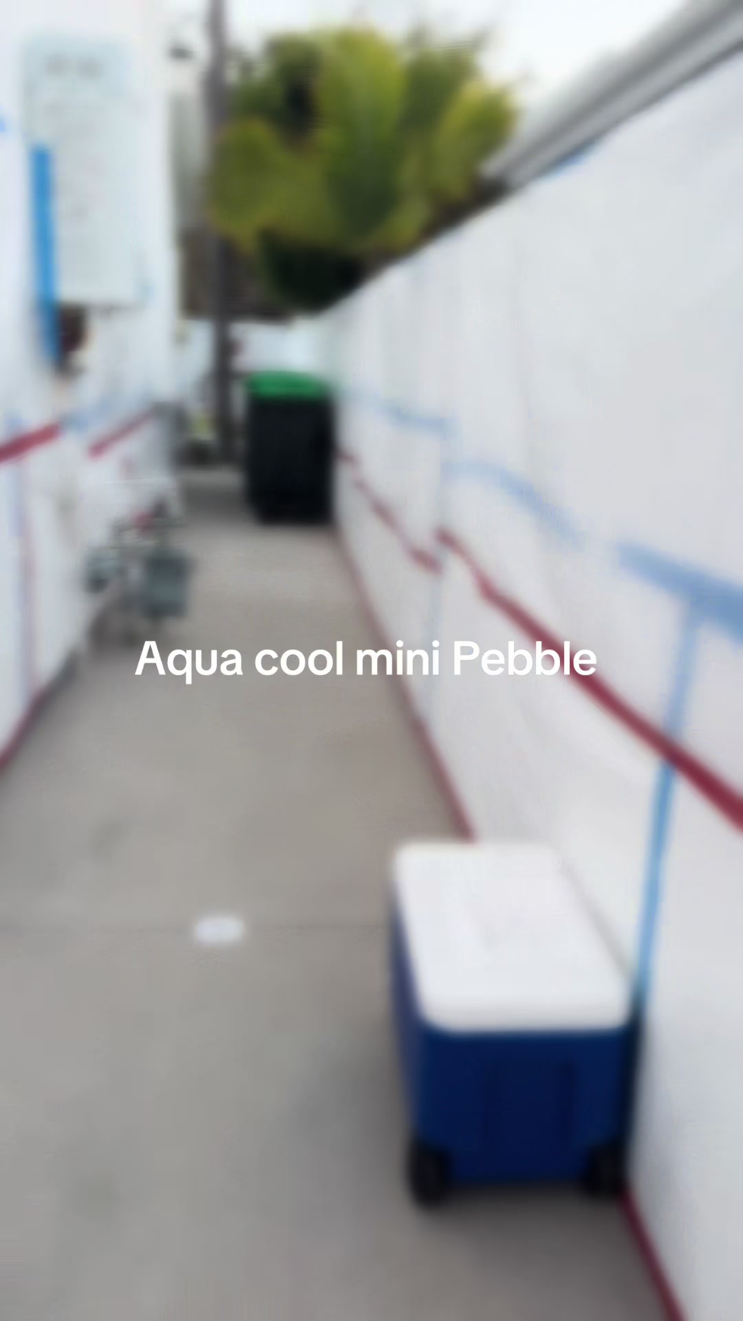 @Olma&rsquo;s Pool Plastering
