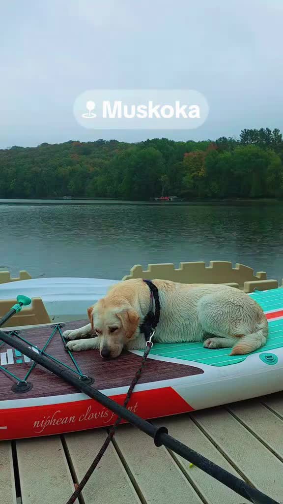 @🌲 FOR;REST WELLNESS🌲 🇨🇦