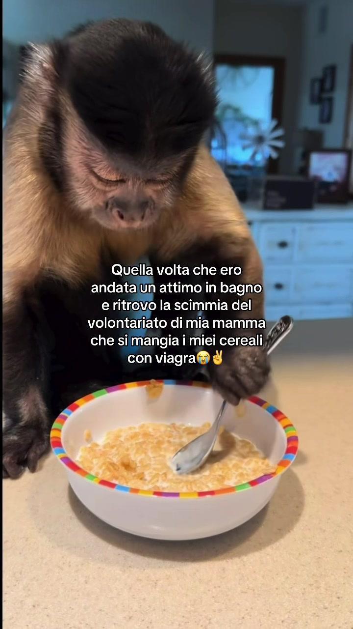 @autisticgirl