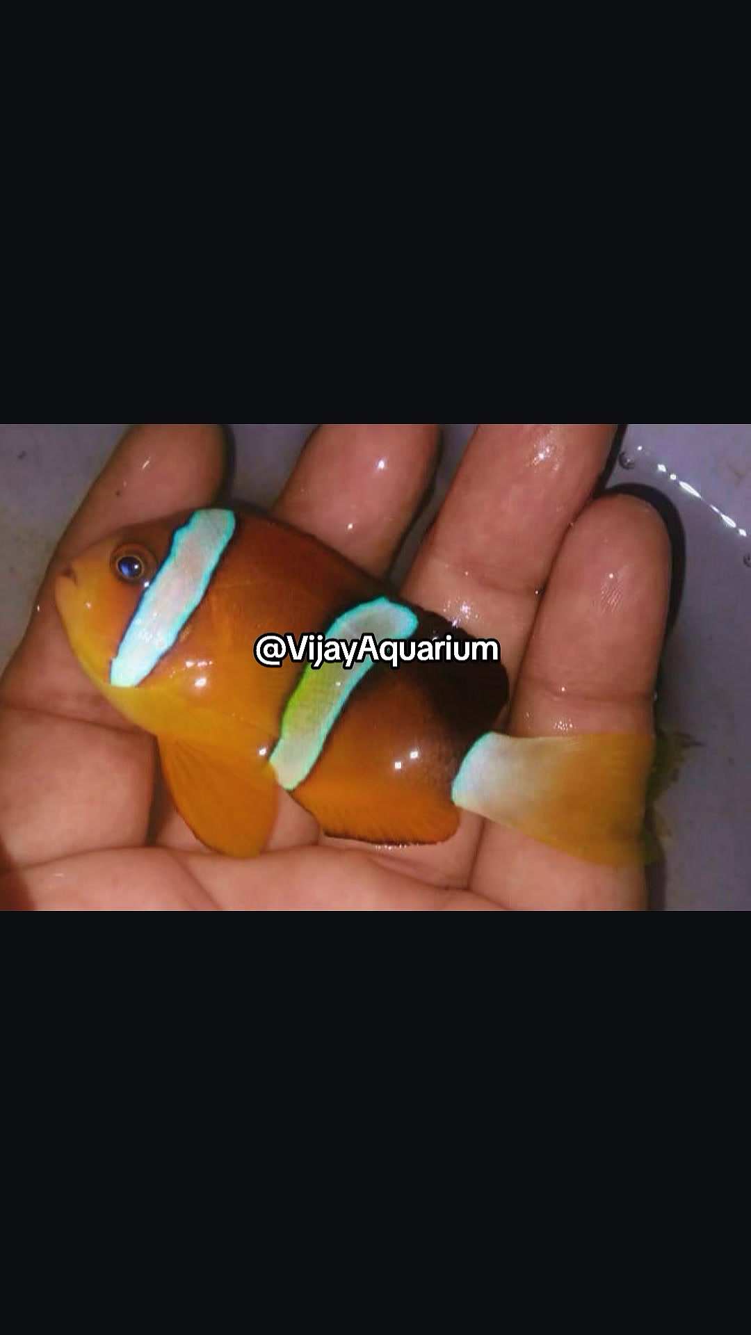 @Vijay Marine