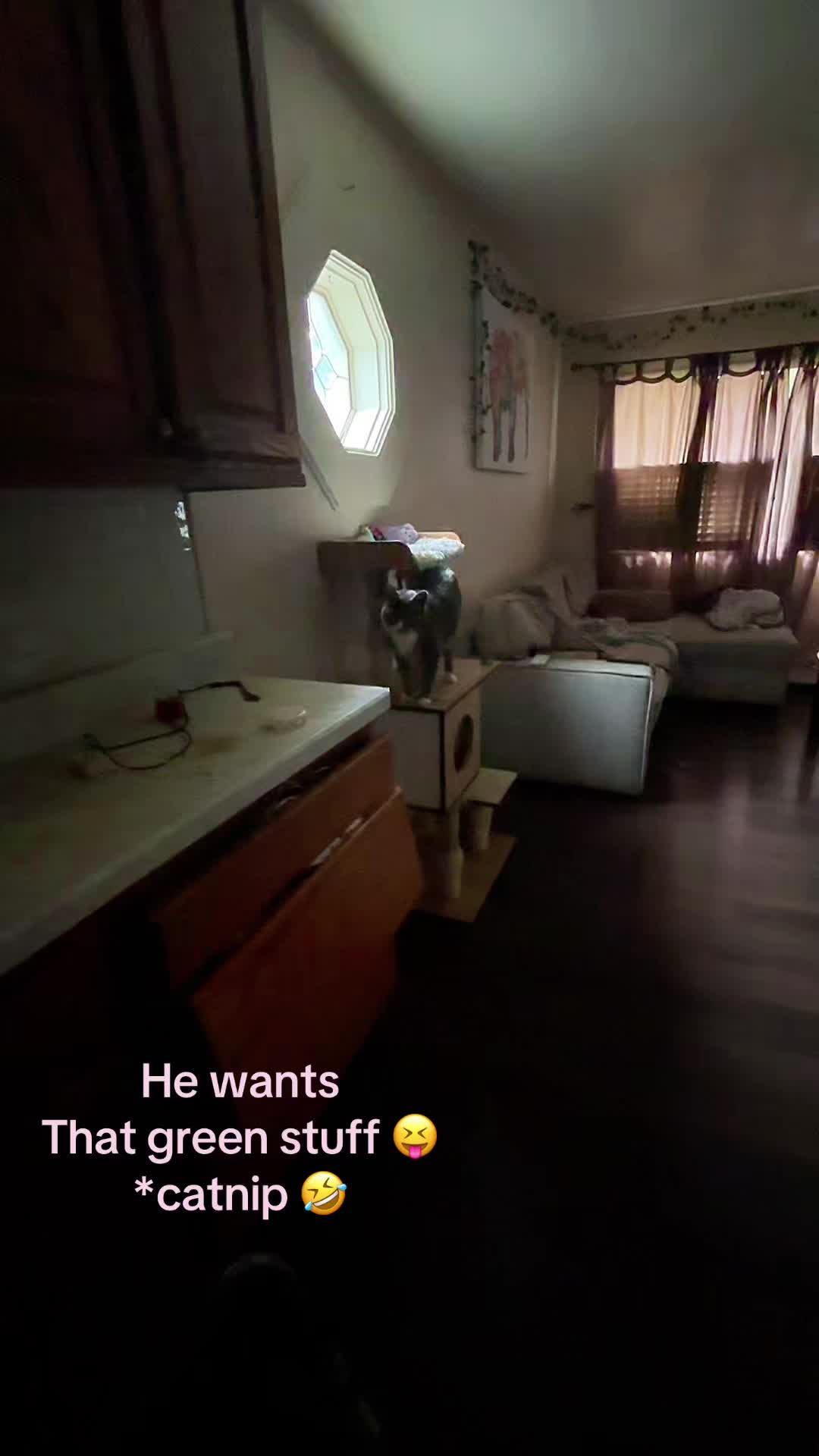 @KimberlyNicoleLivingLife