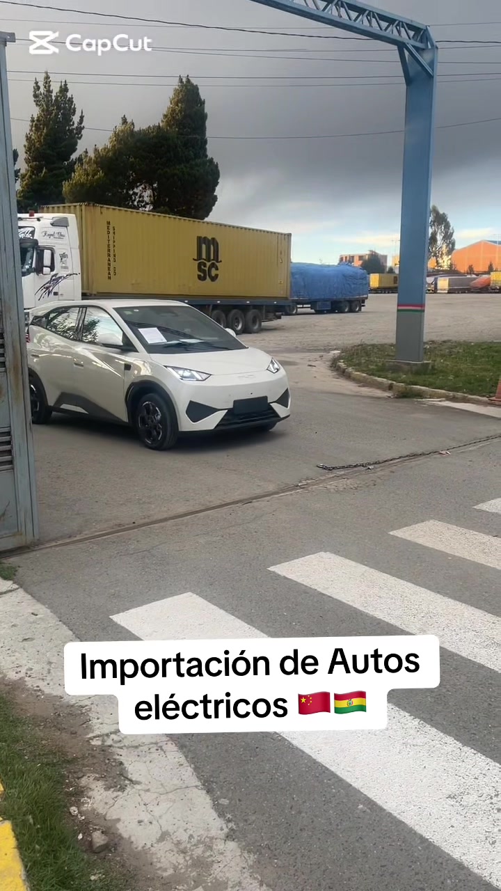@Iver Callisaya / Importaciones