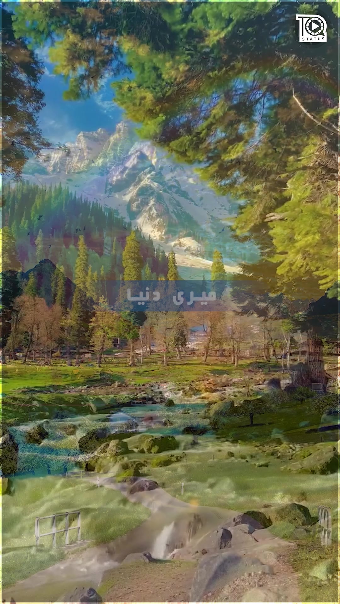 @Hafiz Tahir Qadri