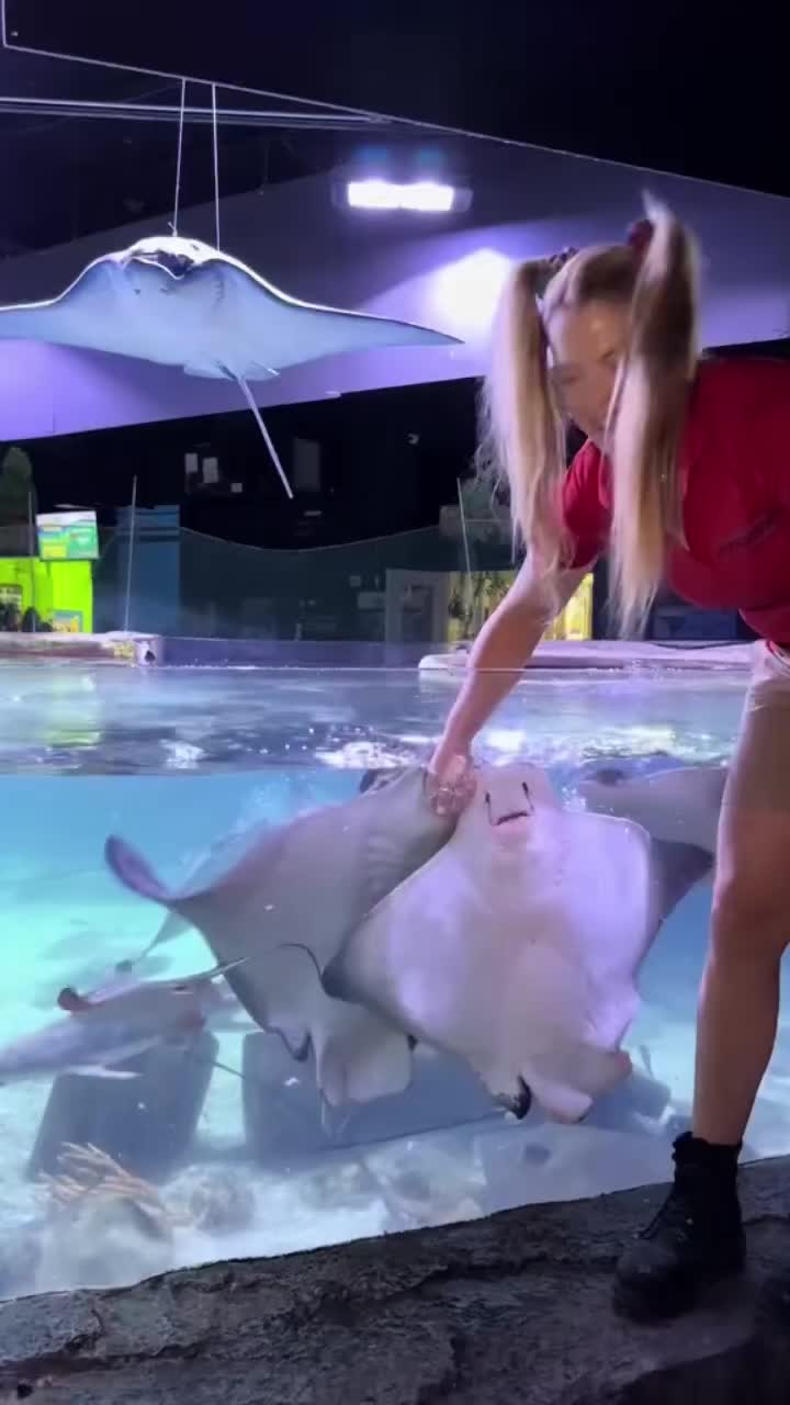 @San Antonio Aquarium