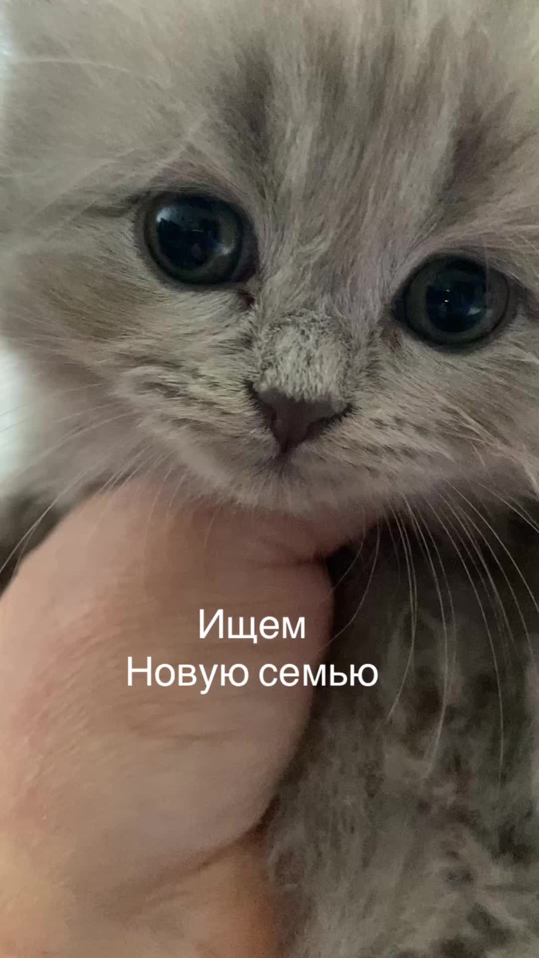@ВИКУСЯ ЯСНОВИДЯЩАЯ