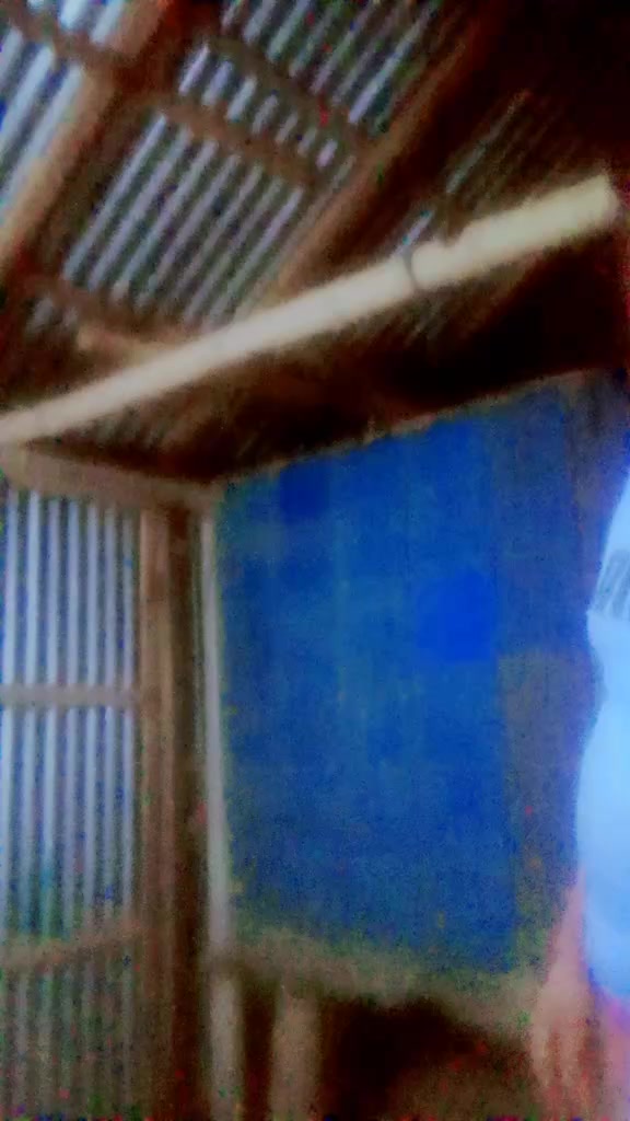 @❤️শরাফ উদ্দিন হৃদয়❤️