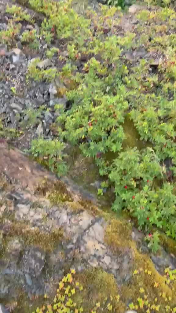 @🔱MORGENLYS🔱🇳🇴