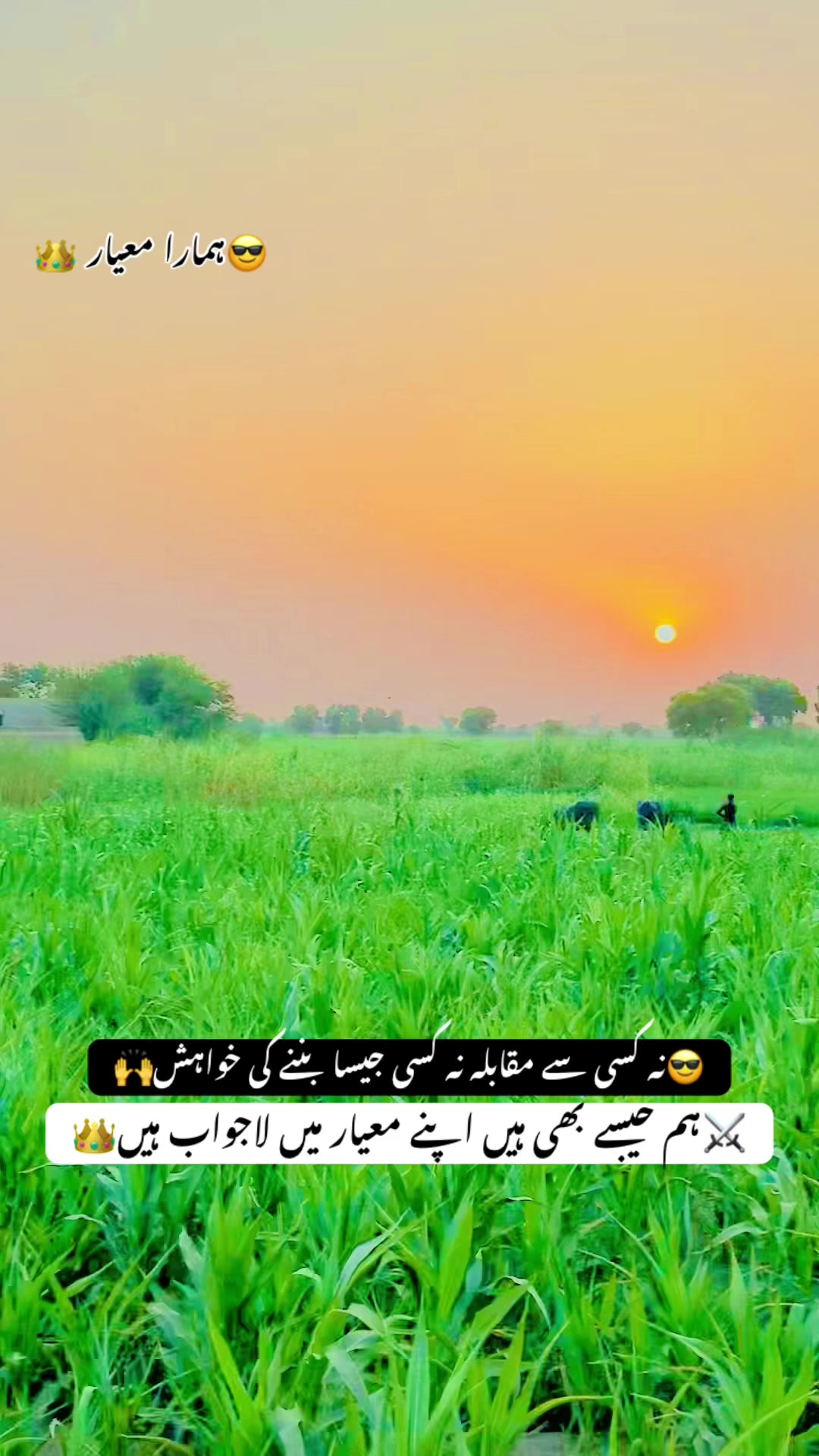 @❤sheikh Bilal 1244❤👑