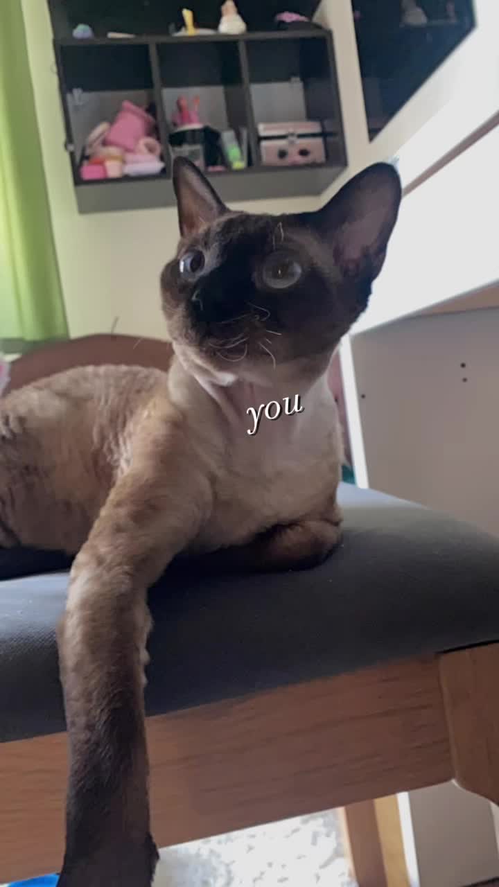 @Emilka