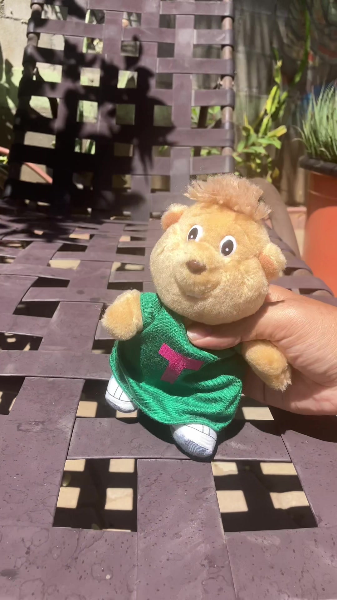 @A CHIPMUNK SUPERSTAR 50