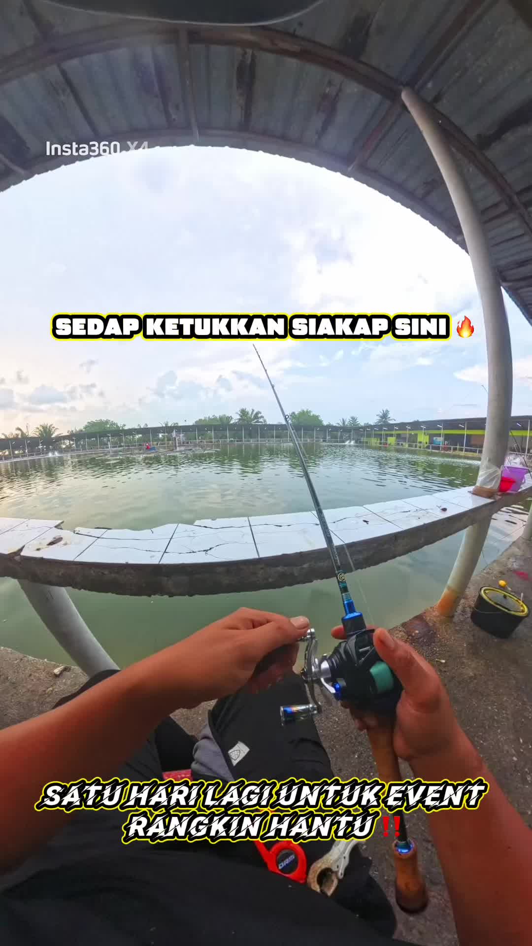 @M Z Reel 🎣