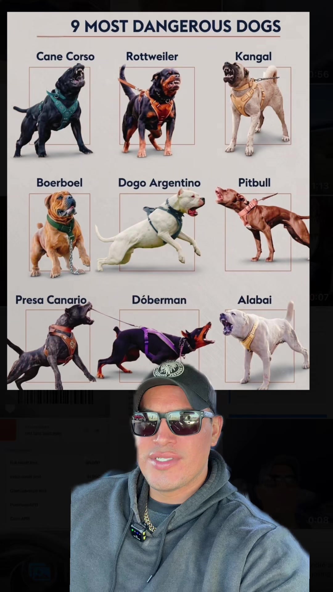 @🪶TheN8tiveDogfather🐾