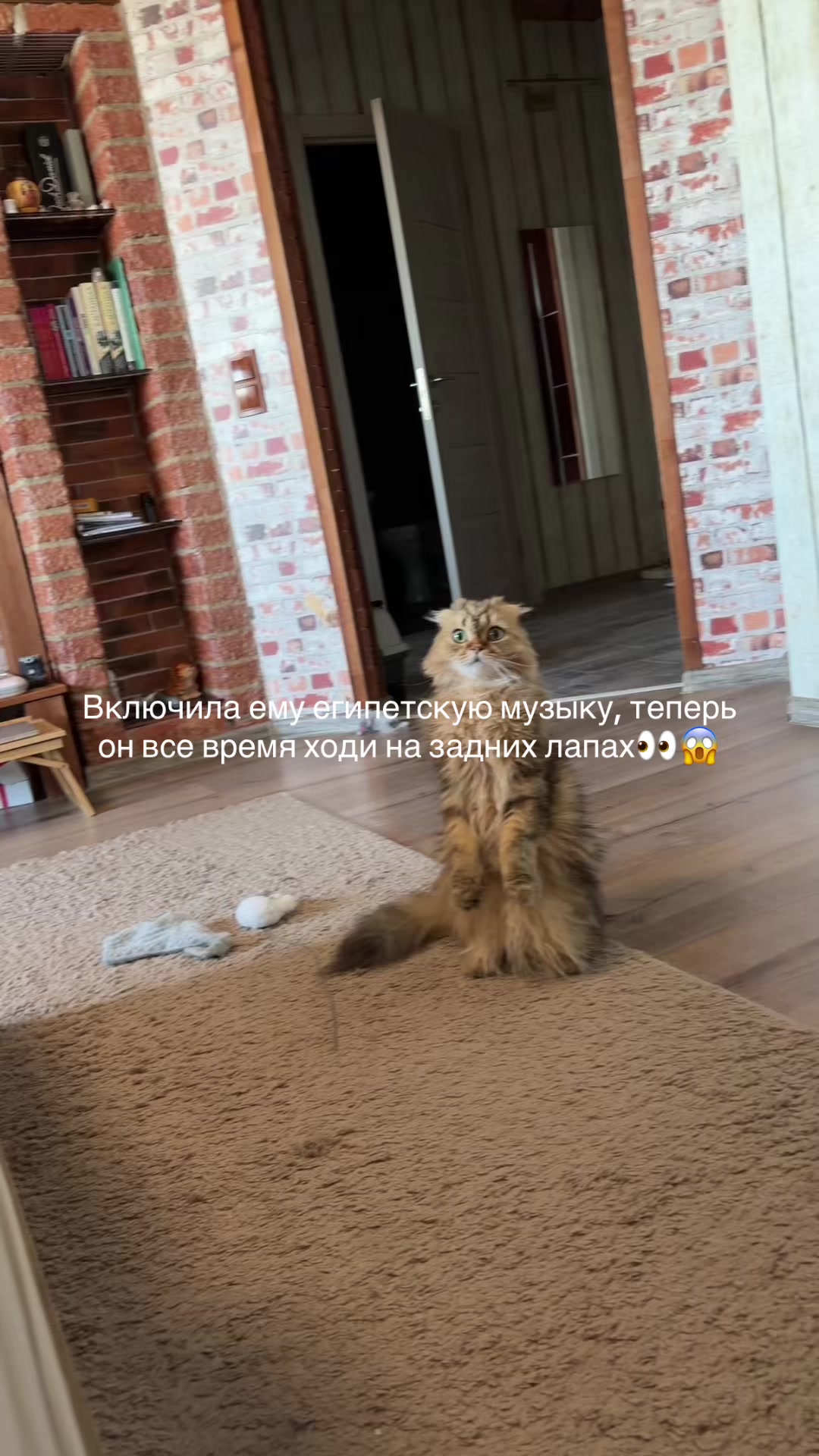 @ravvinskaya.val