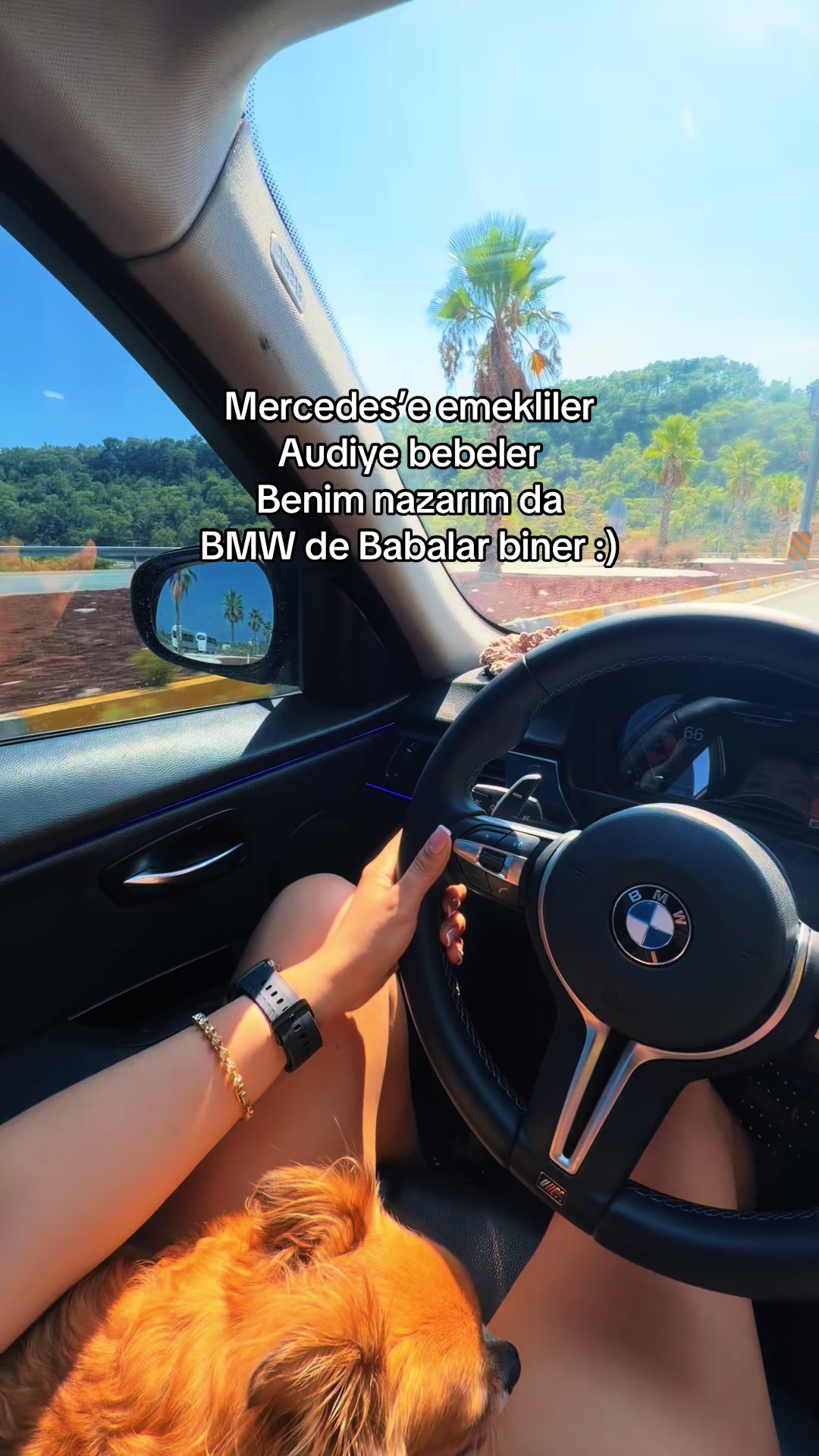 @Büşra🐅