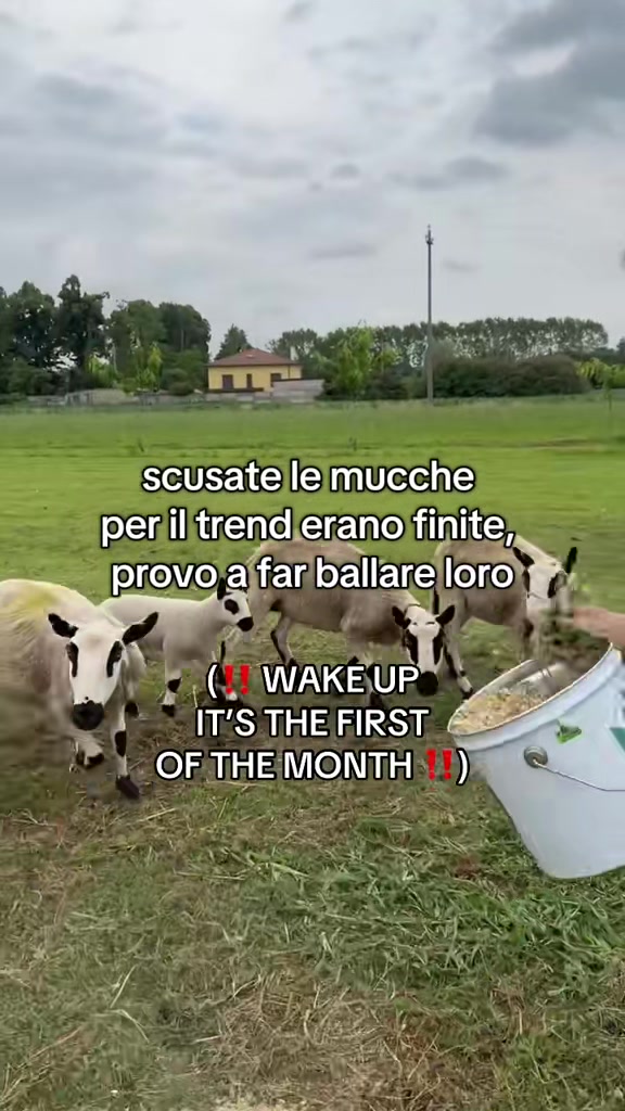 @Marco Ballarini Sindaco