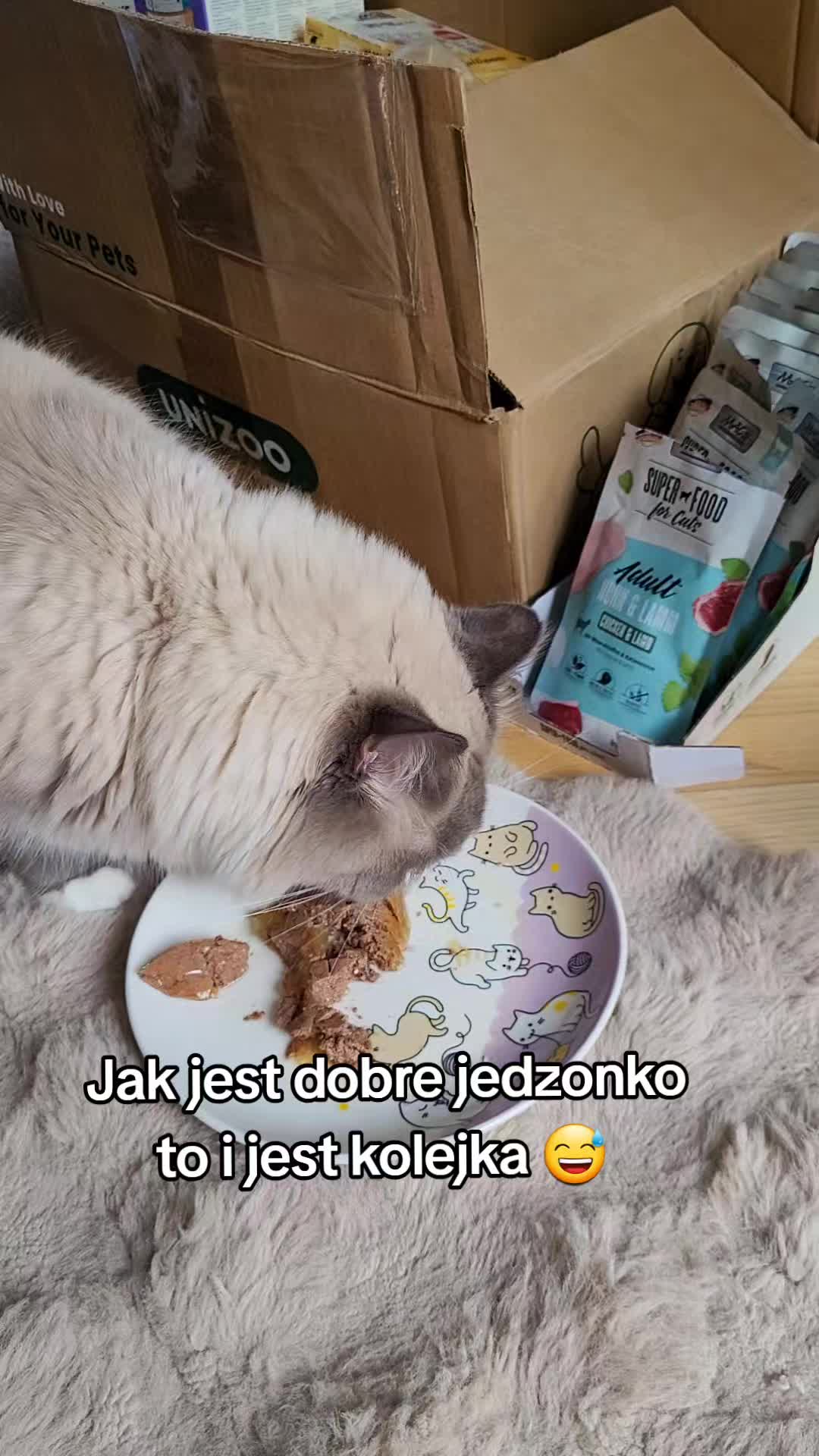 @😻Ekipa Świrka 😻