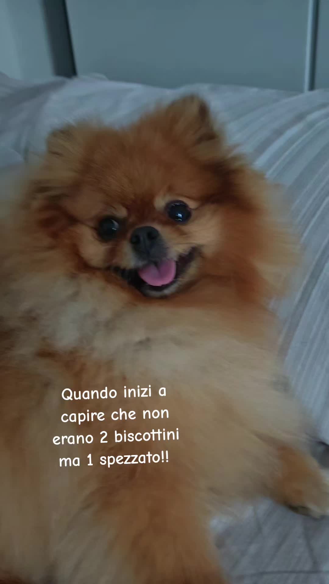 @Nicoletta 🥰
