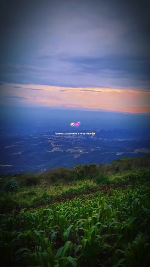 @☆*S̶e̶l̶v̶i̶n̶ P̶u̶. ♡ A ♡ ☆
