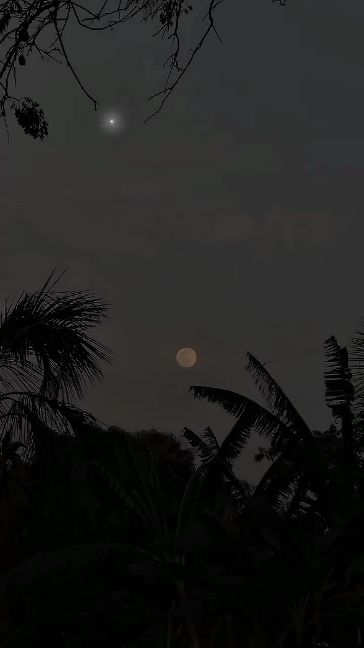 @♠︎ʙʟᴀᴄᴋ ʟᴏᴠᴇʀ♠︎