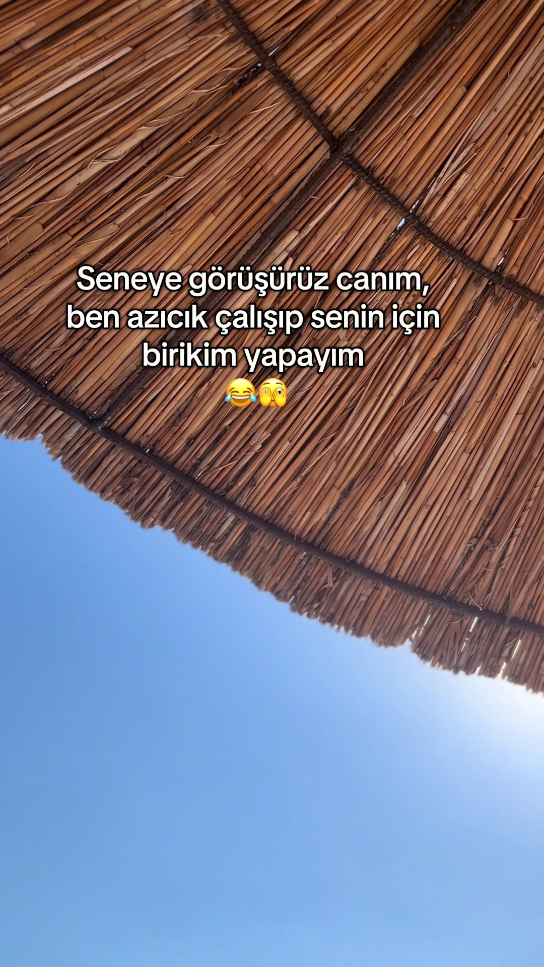 @Zerrin.Ekici