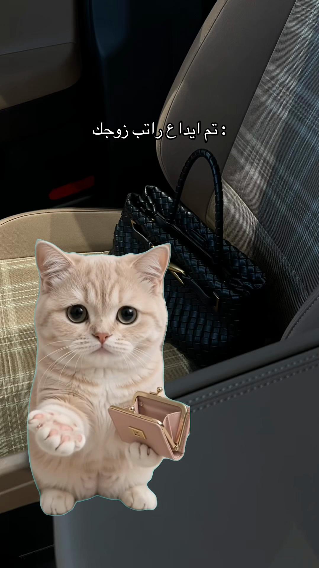 @بلوقر شيري🍒| مرخصة إعلامياً