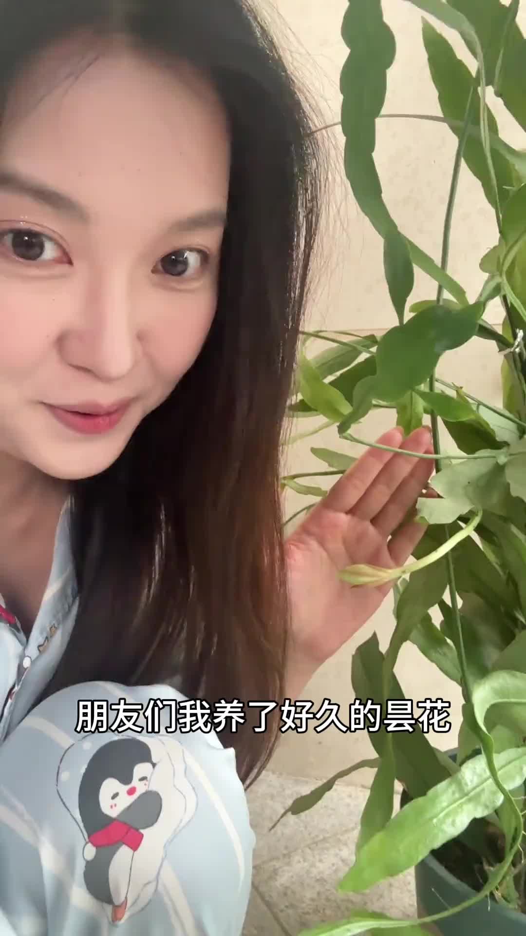 @牟牟刘啊