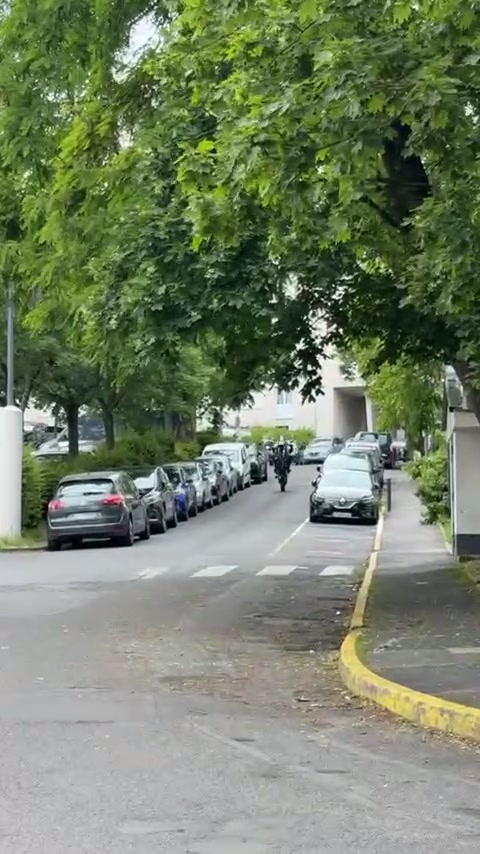 @🇩🇿